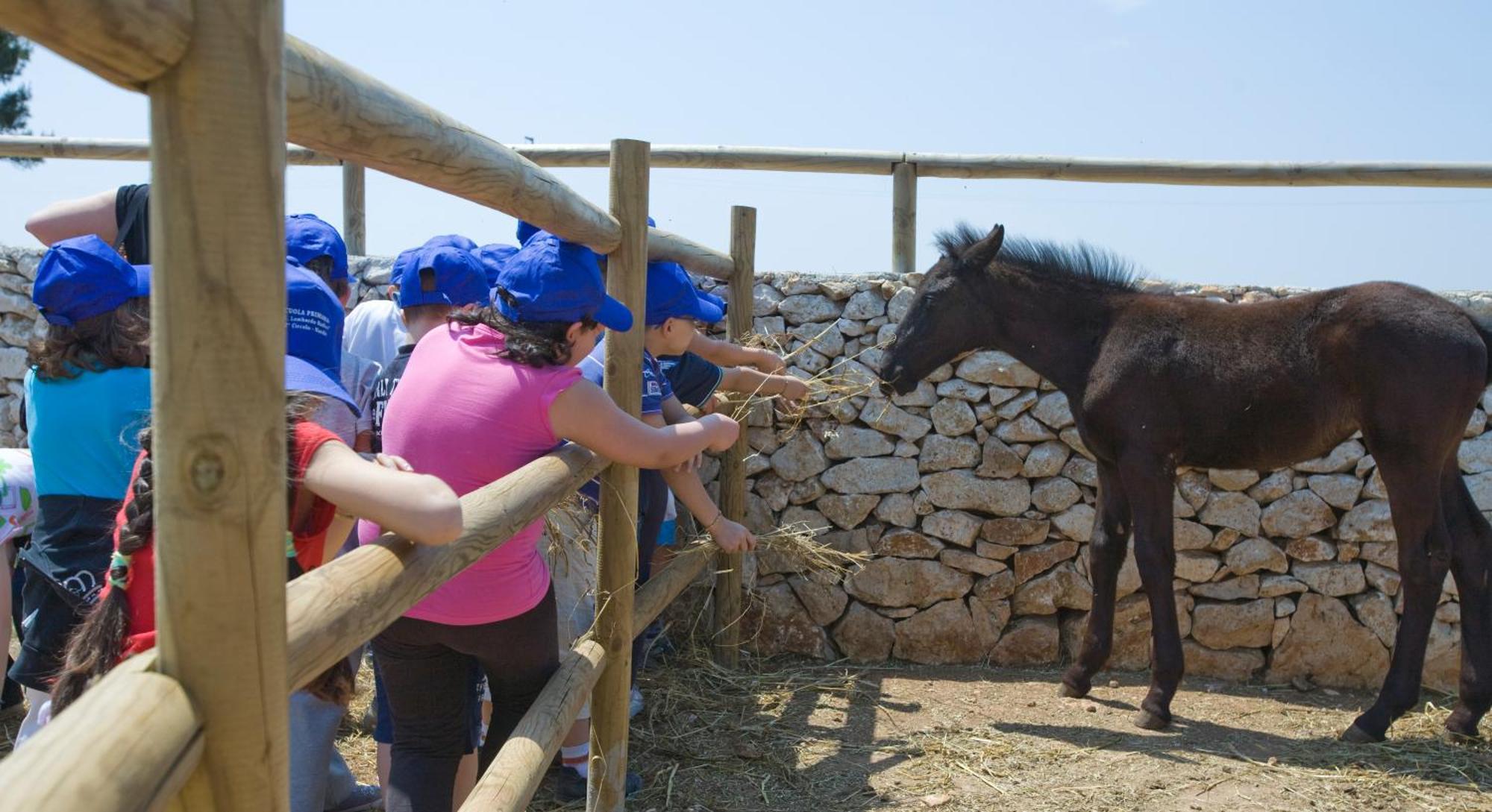 Agriturismo Scalelle Отранто Екстериор снимка